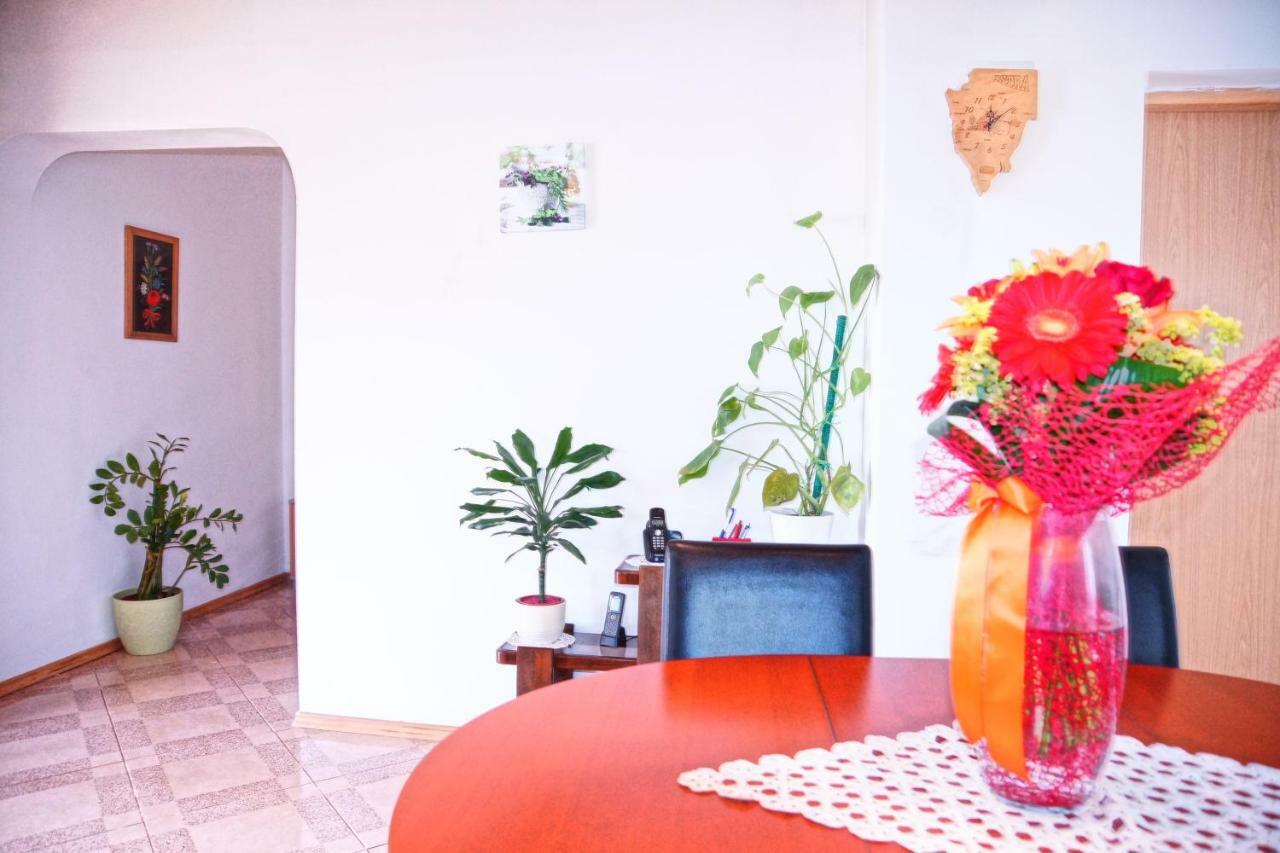 Holiday Home Bura Rovinj Exterior foto